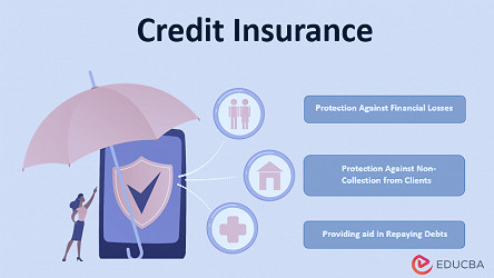 Credit Insurance | Types of Risks Covered by Credit Insurance